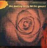 Darling Buds, The - Hit The Ground - Epic - Indie