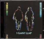 1 Giant Leap - 1 Giant Leap - Palm Pictures - Down Tempo