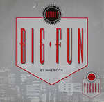 Inner City - Big Fun - generic sleeve - 10 Records - US Techno