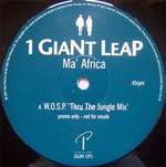 1 Giant Leap - Ma' Africa - Palm Pictures - House