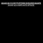 Brandon Cooke & Roxanne ShantÃ© - Sharp As A Knife (Acid Attack) - Club - Acid House