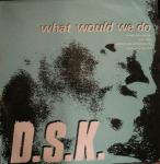 DSK - What Would We Do - Boy's Own Recordings - House