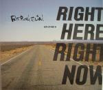 Fatboy Slim - Right Here, Right Now - Skint - Big Beat
