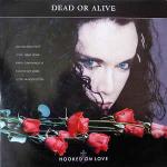 Dead Or Alive - Hooked On Love - Epic - Synth Pop