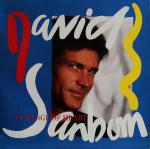 David Sanborn - A Change Of Heart - Warner Bros. Records - Jazz