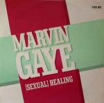 Marvin Gaye - (Sexual) Healing (Club Mix) - CBS - Soul & Funk