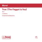 Morel - True (The Faggot Is You) - Hooj Choons - Progressive