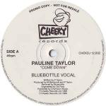 Pauline Taylor - Come Down - (DISC 3 MISSING) - Cheeky Records - Progressive