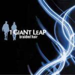 1 Giant Leap - Braided Hair - Palm Pictures - Trip Hop