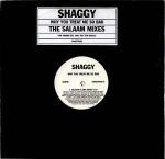 Shaggy - Why You Treat Me So Bad (The Salaam Mixes) - Virgin - Ragga