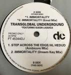 Transglobal Underground - Immortality - Deconstruction - UK House