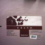 Calyx - Double Zero / The Root - Audio Couture - Drum & Bass
