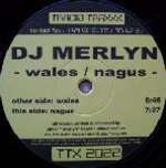 DJ Merlyn - Wales / Nagus - Tracid Traxxx - Trance