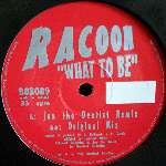 Racoon - What To Be - Bosca Beats - Acid House