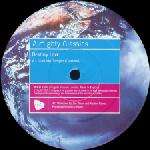 Destiny Love - Call Me Tonight / Love's About to Change My Heart / Girl - Almighty Records - UK House