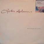 Oleta Adams - Rhythm Of Life - Fontana - Down Tempo