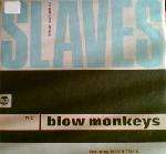Blow Monkeys, The - Slaves No More - RCA - UK House