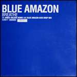 Blue Amazon - Breathe - Subversive - Progressive