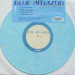Blue Amazon - 4 Seasons - Sm:)e Communications - Progressive