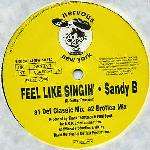 Sandy B - Feel Like Singin' - Mercury - US House