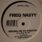 Freq Nasty - Brooklyn To Brixton - Skint Records - Break Beat