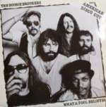 Doobie Brothers, The - What A Fool Believes - Warner Bros. Records - Disco