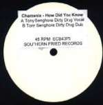 Chamonix - How Did You Know (77 Strings) (Promo 3) - Southern Fried Records - Trance