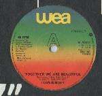 Fern Kinney - Together We Are Beautiful / Baby Let Me Kiss You - WEA - Disco