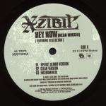 Xzibit - Hey Now (Mean Muggin') / Beware Of Us - Columbia - Hip Hop