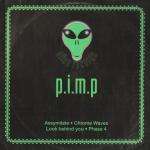 P.I.M.P. - Assymilate - Alien Recordings - Techno