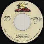 Wayne Wonder - Bashment Girl - (Generic Sleeve) - Mad House - Ragga