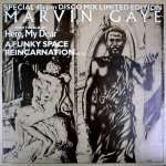 Marvin Gaye - A Funky Space Reincarnation (Disco Mix) - Motown - Disco