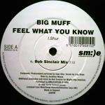 Big Muff - Feel What You Know - Sm:)e Communications - Deep House