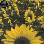 James Holden - One For You - Direction Records - Progressive