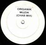 Organik  - Muzik - Not On Label - Progressive