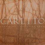 Carlito - Grapevine / Diffusion Room - Creative Source - Drum & Bass