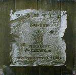 PFM - The Western / Hypnotizing - Good Looking Records - Drum & Bass