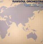 Rawsoul Orchestra - Can't You See - MAP Dance - House