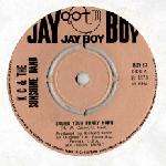 KC & The Sunshine Band - Sound Your Funky Horn - Jay Boy - Disco