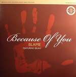 Blame & Selah - Because Of You - 720 Degrees - Drum & Bass