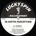 In Depth Perception - Entropy / Rhizome - Lucky Spin Recordings - Break Beat