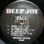 Deep Joy - Fall - Brainiak Records - Dub