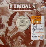 Paradox  - Now's The Time - TRIBAL America - Deep House