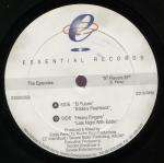 The Episodes - 97 Flavors EP - Essential - US House