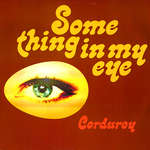 Corduroy - Something In My Eye - Acid Jazz - Acid Jazz