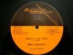 Beres Hammond - Groovy Little Thing - Harmony House - Reggae