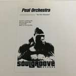 Peal Orchestra - No Win Situation - Soulgroove Records - US House