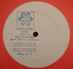 Kelly Bienvenue - What Are You Gonna Do? - Fantastic Records - UK House