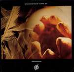 Moodswings - Taste EP - Rainsong - Arista - Down Tempo