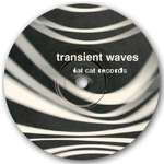 Transient Waves & Two Lone Swordsmen & Skye - Born With A Body And Fucked In The Head - FatCat Records - Tech House